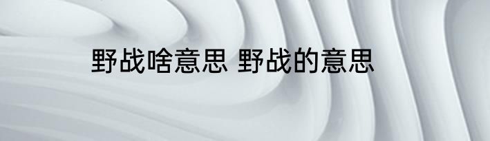 野战啥意思 野战的意思