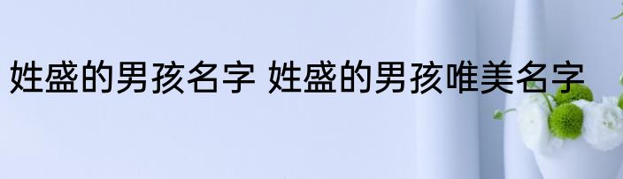 姓盛的男孩名字 姓盛的男孩唯美名字