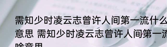 需知少时凌云志曾许人间第一流什么意思 需知少时凌云志曾许人间第一流啥意思