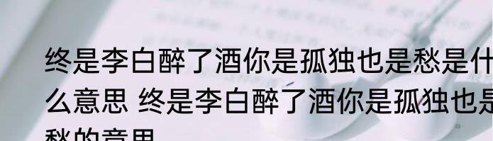 终是李白醉了酒你是孤独也是愁是什么意思 终是李白醉了酒你是孤独也是愁的意思