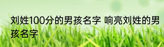 刘姓100分的男孩名字 响亮刘姓的男孩名字