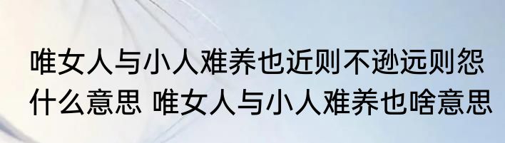 唯女人与小人难养也近则不逊远则怨什么意思 唯女人与小人难养也啥意思