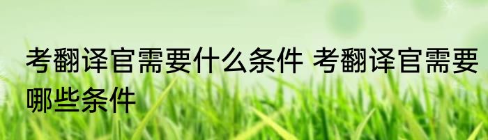 考翻译官需要什么条件 考翻译官需要哪些条件