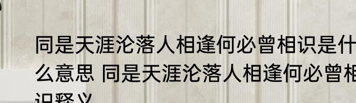 同是天涯沦落人相逢何必曾相识是什么意思 同是天涯沦落人相逢何必曾相识释义