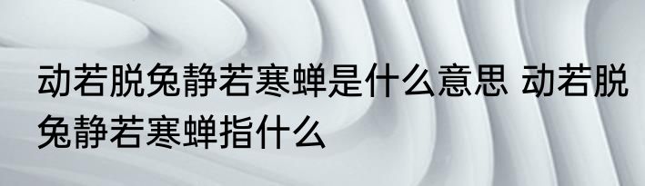 动若脱兔静若寒蝉是什么意思 动若脱兔静若寒蝉指什么