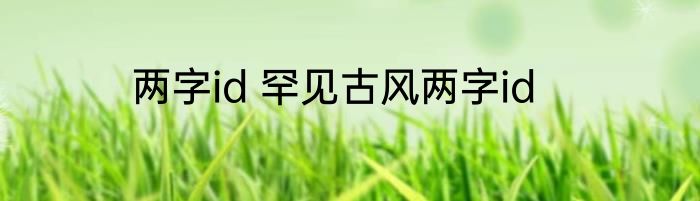 两字id 罕见古风两字id