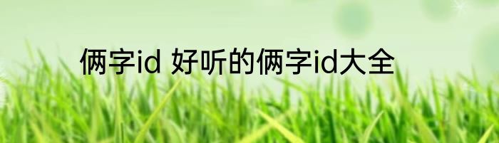 俩字id 好听的俩字id大全