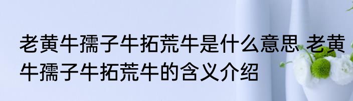 老黄牛孺子牛拓荒牛是什么意思 老黄牛孺子牛拓荒牛的含义介绍