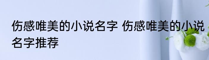 伤感唯美的小说名字 伤感唯美的小说名字推荐