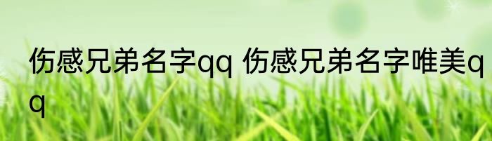 伤感兄弟名字qq 伤感兄弟名字唯美qq