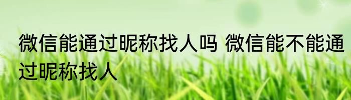微信能通过昵称找人吗 微信能不能通过昵称找人