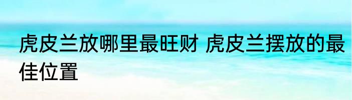 虎皮兰放哪里最旺财 虎皮兰摆放的最佳位置