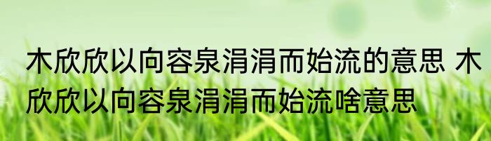 木欣欣以向容泉涓涓而始流的意思 木欣欣以向容泉涓涓而始流啥意思