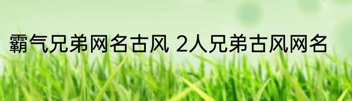 霸气兄弟网名古风 2人兄弟古风网名