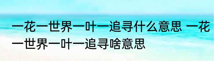 一花一世界一叶一追寻什么意思 一花一世界一叶一追寻啥意思