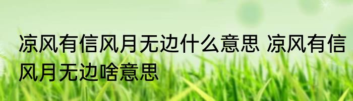 凉风有信风月无边什么意思 凉风有信风月无边啥意思