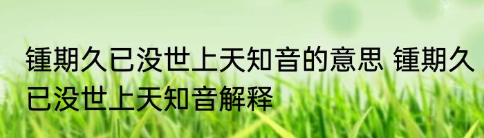 锺期久已没世上天知音的意思 锺期久已没世上天知音解释