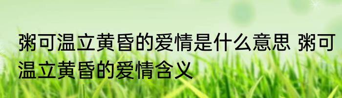 粥可温立黄昏的爱情是什么意思 粥可温立黄昏的爱情含义