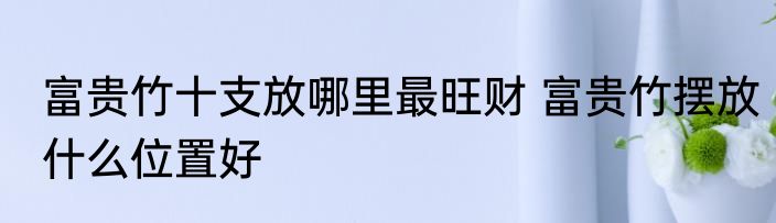 富贵竹十支放哪里最旺财 富贵竹摆放什么位置好