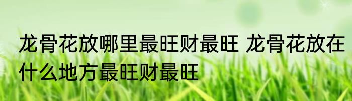 龙骨花放哪里最旺财最旺 龙骨花放在什么地方最旺财最旺