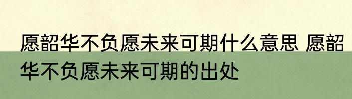 愿韶华不负愿未来可期什么意思 愿韶华不负愿未来可期的出处