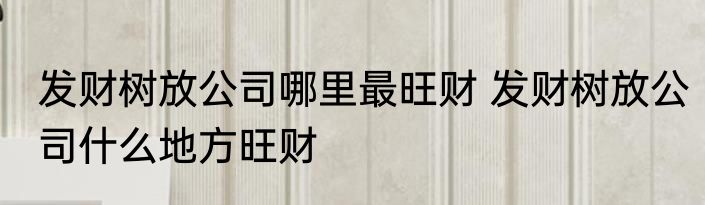 发财树放公司哪里最旺财 发财树放公司什么地方旺财