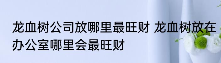 龙血树公司放哪里最旺财 龙血树放在办公室哪里会最旺财
