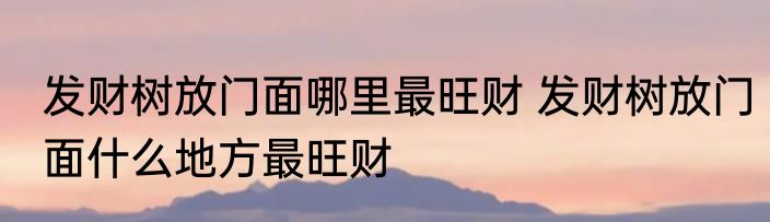 发财树放门面哪里最旺财 发财树放门面什么地方最旺财