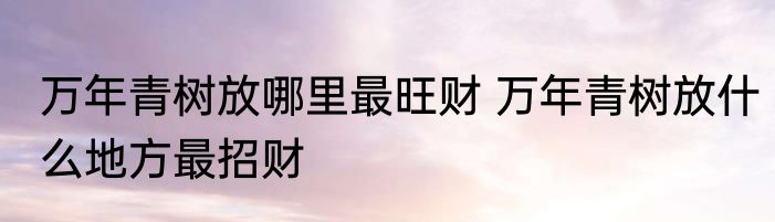 万年青树放哪里最旺财 万年青树放什么地方最招财