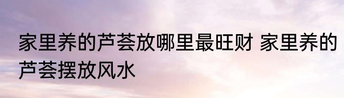 家里养的芦荟放哪里最旺财 家里养的芦荟摆放风水