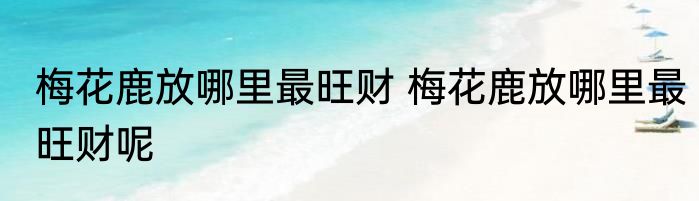 梅花鹿放哪里最旺财 梅花鹿放哪里最旺财呢