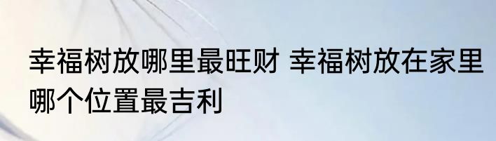 幸福树放哪里最旺财 幸福树放在家里哪个位置最吉利