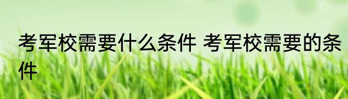 考军校需要什么条件 考军校需要的条件