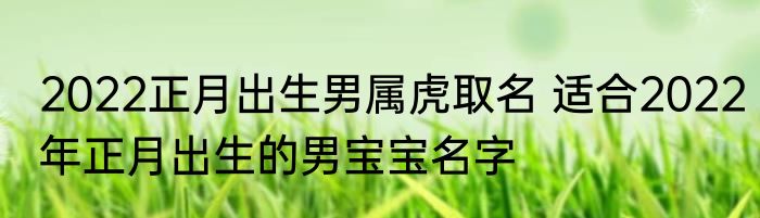 2022正月出生男属虎取名 适合2022年正月出生的男宝宝名字