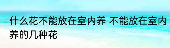什么花不能放在室内养 不能放在室内养的几种花