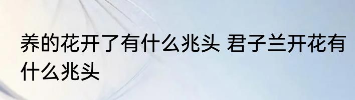 养的花开了有什么兆头 君子兰开花有什么兆头