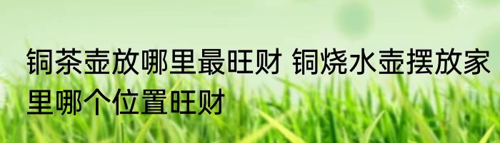 铜茶壶放哪里最旺财 铜烧水壶摆放家里哪个位置旺财