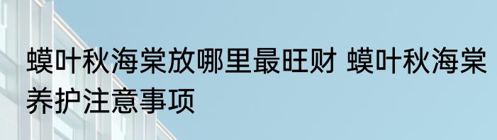 蟆叶秋海棠放哪里最旺财 蟆叶秋海棠养护注意事项