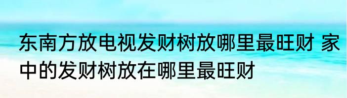 东南方放电视发财树放哪里最旺财 家中的发财树放在哪里最旺财