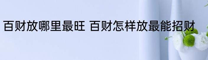 百财放哪里最旺 百财怎样放最能招财
