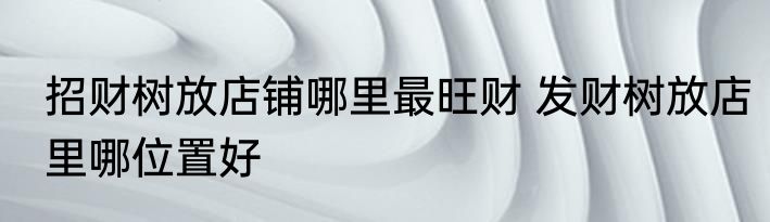 招财树放店铺哪里最旺财 发财树放店里哪位置好