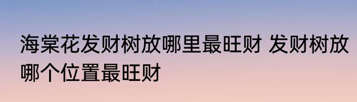 海棠花发财树放哪里最旺财 发财树放哪个位置最旺财