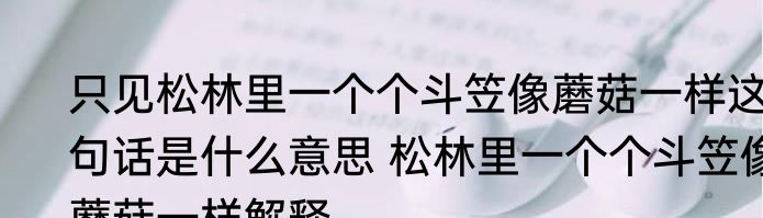 只见松林里一个个斗笠像蘑菇一样这句话是什么意思 松林里一个个斗笠像蘑菇一样解释