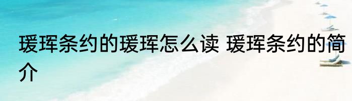 瑗珲条约的瑗珲怎么读 瑗珲条约的简介