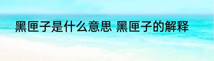 黑匣子是什么意思 黑匣子的解释