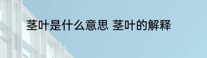 茎叶是什么意思 茎叶的解释