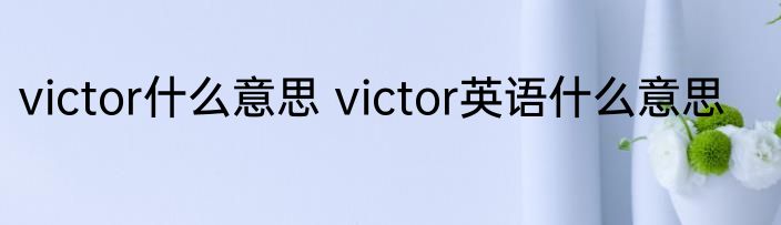 victor什么意思 victor英语什么意思