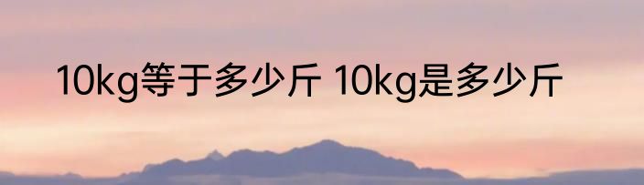 10kg等于多少斤 10kg是多少斤