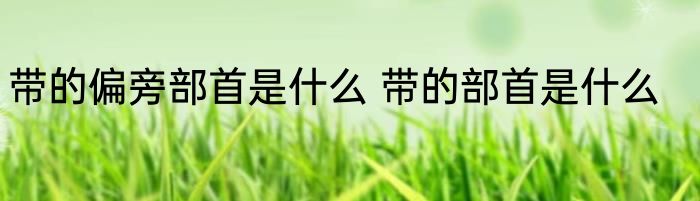 带的偏旁部首是什么 带的部首是什么