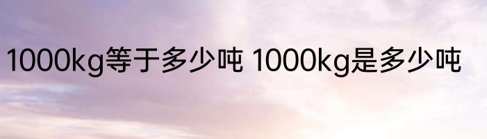1000kg等于多少吨 1000kg是多少吨